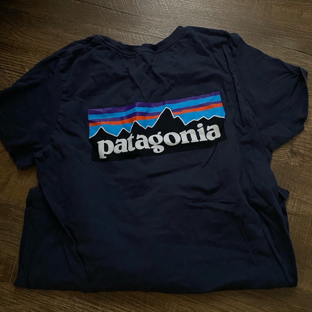 Patagonia t shirt